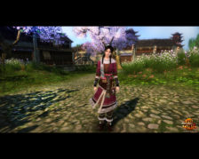 Age of Wulin