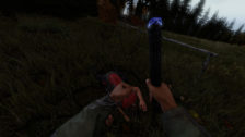 DayZ