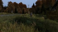 DayZ