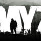 DayZ